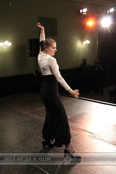 Flamencopa 2015