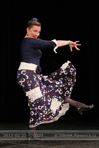 Flamencopa 2015