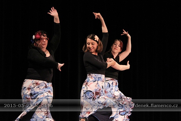 Flamencopa 2015