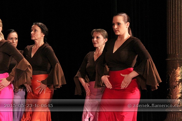 Flamencopa 2015
