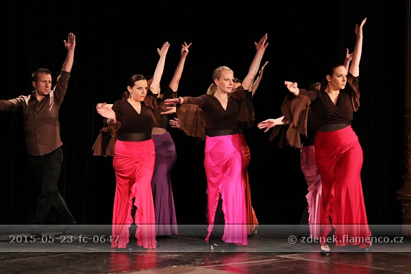 Flamencopa 2015