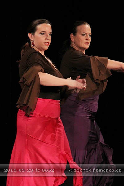 Flamencopa 2015