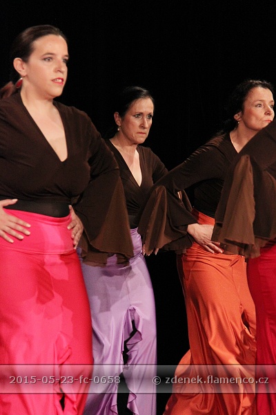 Flamencopa 2015
