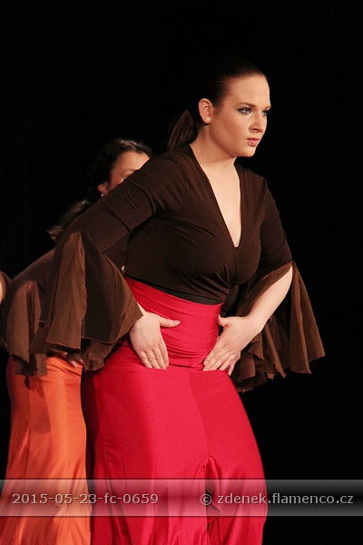 Flamencopa 2015