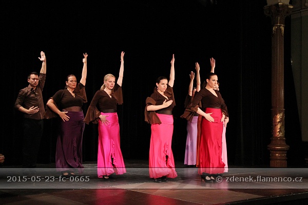 Flamencopa 2015