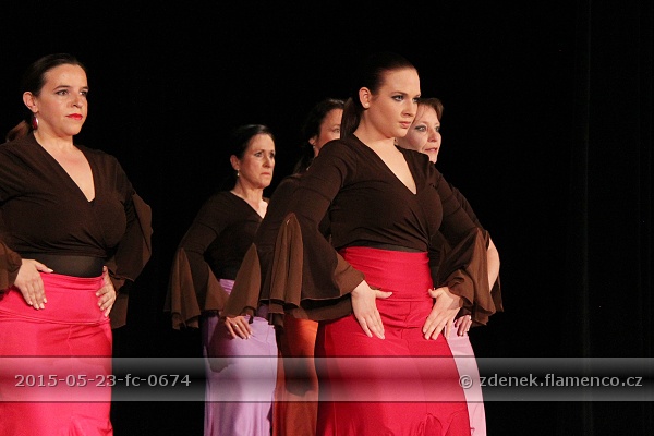 Flamencopa 2015