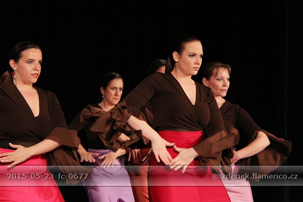 Flamencopa 2015