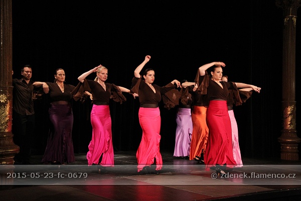 Flamencopa 2015