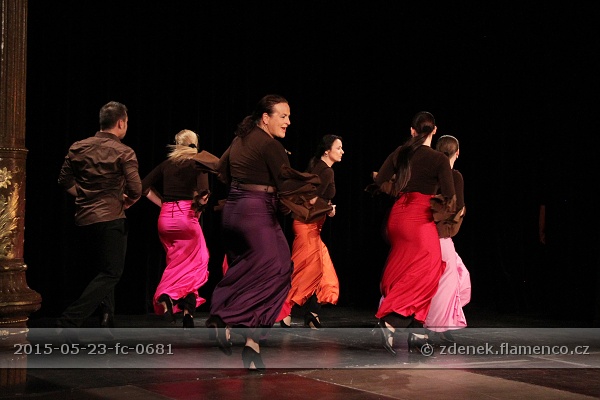 Flamencopa 2015