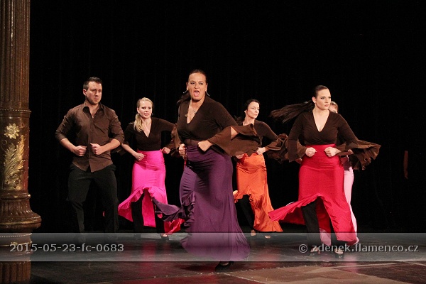 Flamencopa 2015