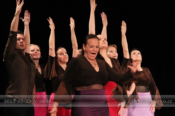 Flamencopa 2015