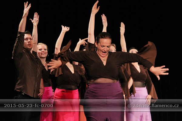 Flamencopa 2015