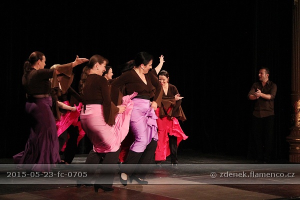 Flamencopa 2015