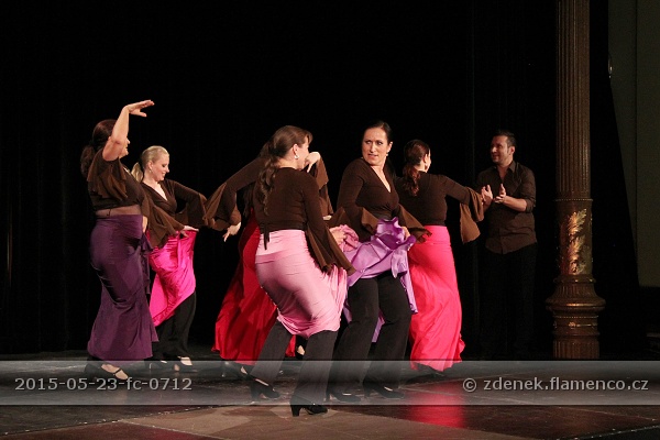Flamencopa 2015