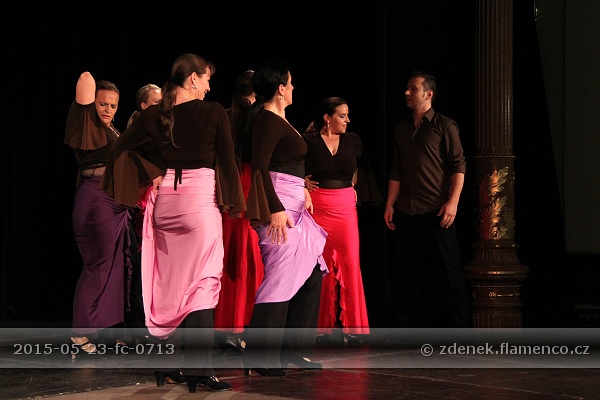 Flamencopa 2015