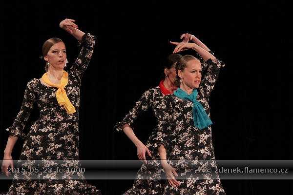 Flamencopa 2015