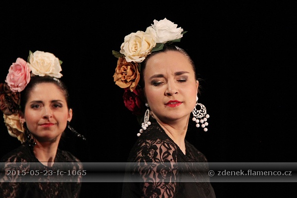Flamencopa 2015