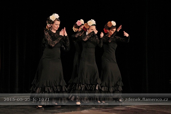 Flamencopa 2015