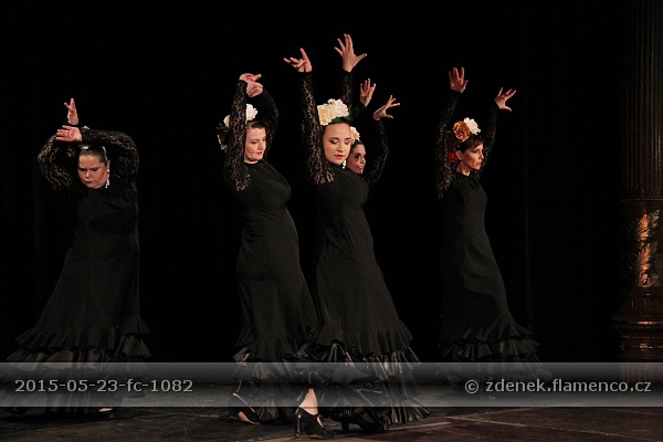 Flamencopa 2015
