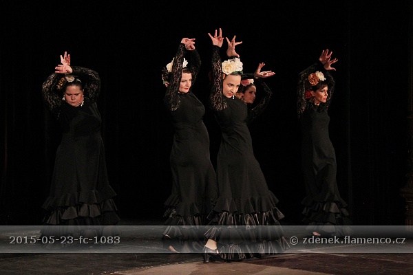 Flamencopa 2015