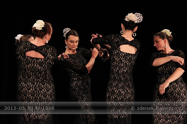 Flamencopa 2015