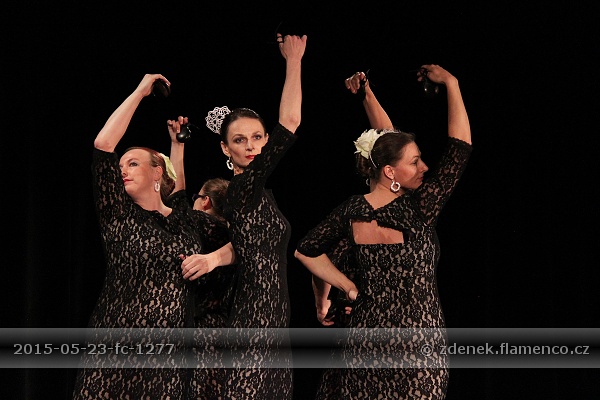 Flamencopa 2015