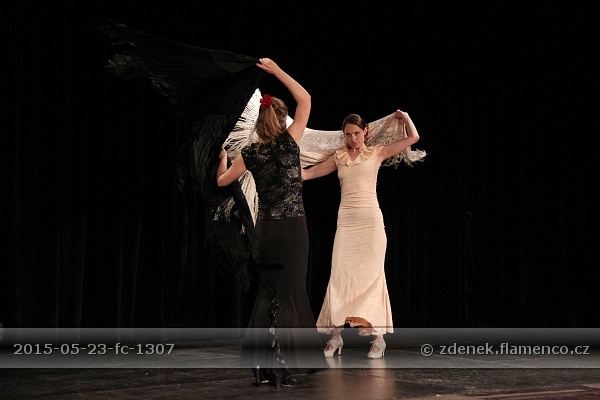 Flamencopa 2015
