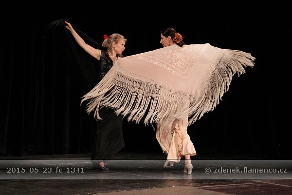 Flamencopa 2015