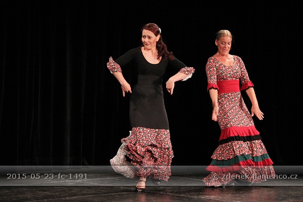 Flamencopa 2015