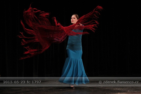 Flamencopa 2015