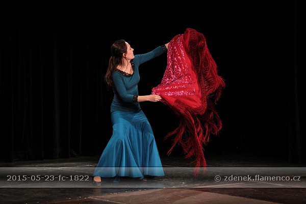 Flamencopa 2015