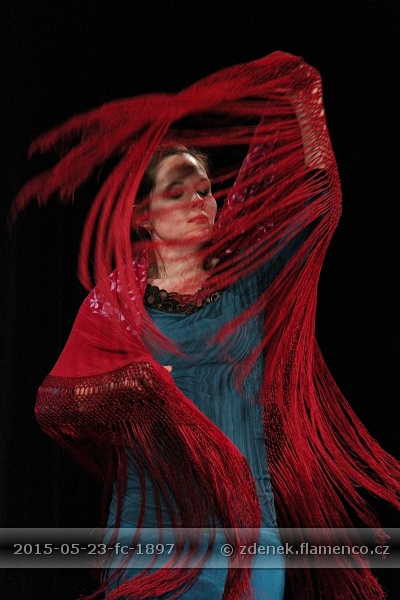 Flamencopa 2015