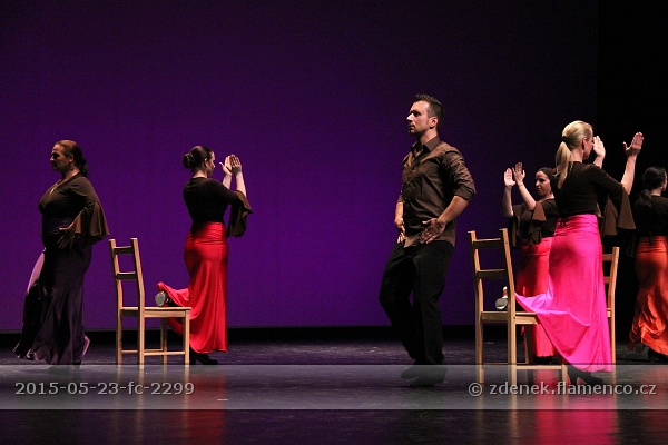 Flamencopa 2015
