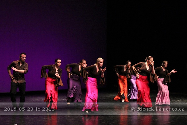 Flamencopa 2015