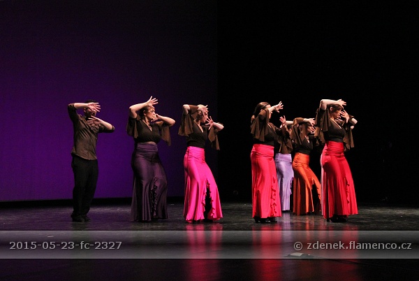 Flamencopa 2015