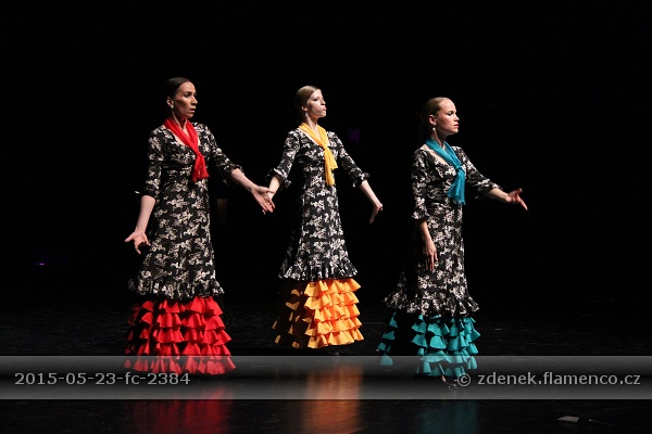 Flamencopa 2015