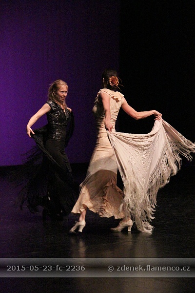 Flamencopa 2015
