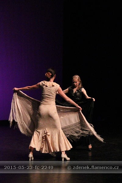Flamencopa 2015